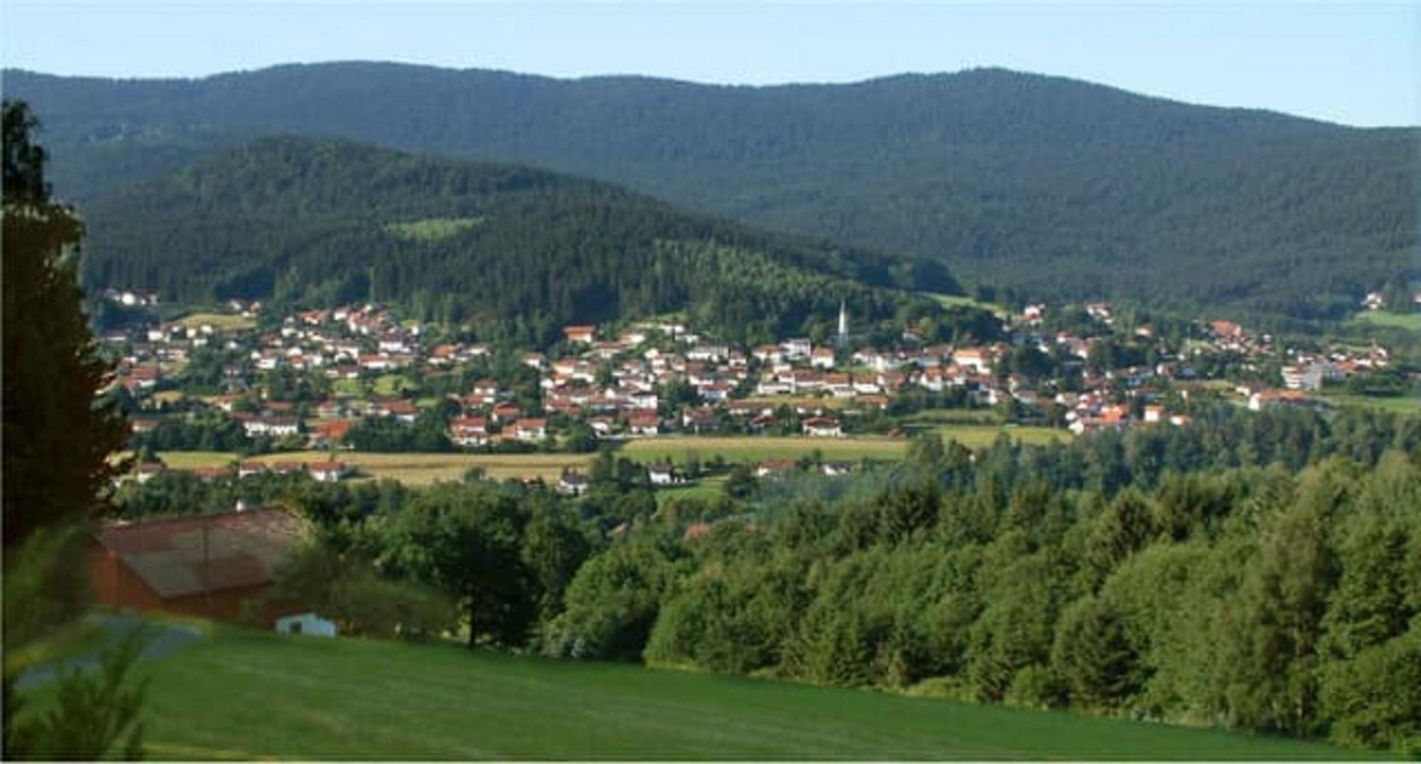 Ferienappartements-Grolik Im Aparthotel Zum Gutshof Hohenwarth Exterior foto